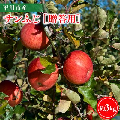 ふるさと納税 平川市 [11月下旬〜順次発送]贈答用サンふじ3kg[今井農園]