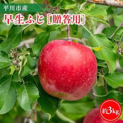 ふるさと納税 平川市 [10月発送]贈答用早生ふじ3kg[今井農園]