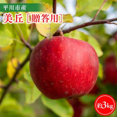 ふるさと納税 平川市 [11月下旬〜順次発送]贈答用美丘3kg[今井農園]