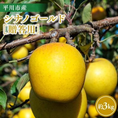 ふるさと納税 平川市 [11月〜順次発送]贈答用シナノゴールド3kg[今井農園]
