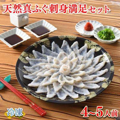 ふるさと納税 下関市 ふぐ 刺身 満足 セット 4〜5人前 120g 冷凍 ふぐ刺し 河豚 てっさ 下関