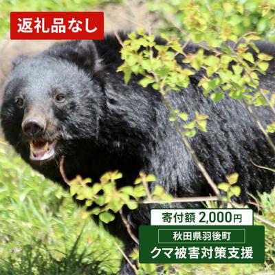 ふるさと納税 羽後町 [返礼品なし]クマ被害対策支援(秋田県羽後町) 2,000円