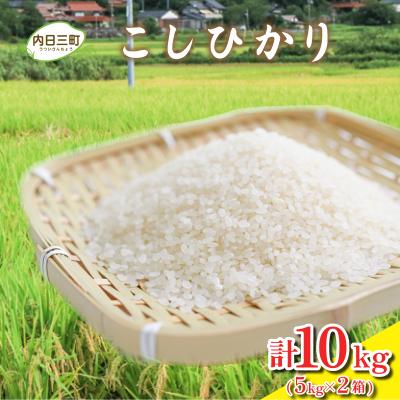 ふるさと納税 下関市 令和7年産 コシヒカリ 10kg (5kg×2箱) 山口県産 [内日三町:DZ8001]