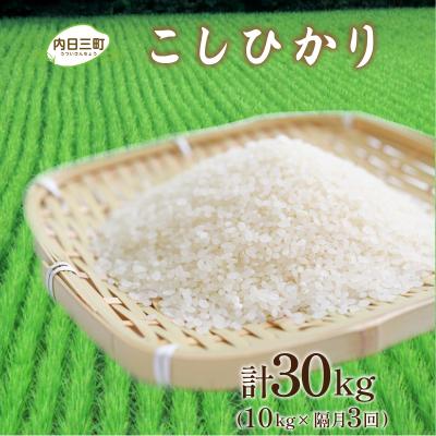 ふるさと納税 下関市 令和7年産 コシヒカリ10kg 隔月3回 山口県産 [内日三町:DZ9105]