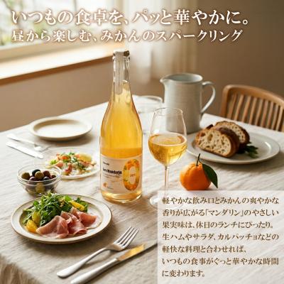 ふるさと納税 境町 【訳あり】ワイン スパークリングワイン マンダリン2本セット 750ml 辛口 ギフト 酒 |  | 02
