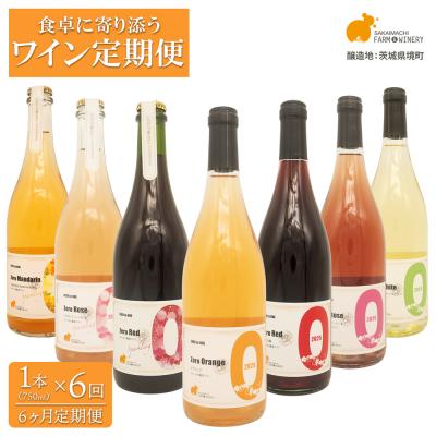 ふるさと納税 境町 [6ヶ月定期便/毎月お届け]デイリーワイン 750ml×1本 赤 白 ロゼ スパークリング ギフト