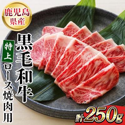 ふるさと納税 いちき串木野市 鹿児島県産 黒毛和牛 特上ロース 250g 国産 冷凍 和牛 焼肉におすすめ