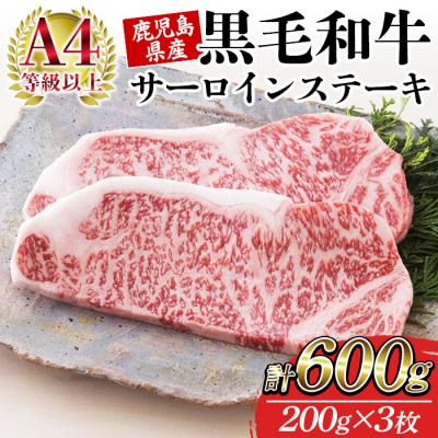 ふるさと納税 いちき串木野市 鹿児島県産 黒毛和牛 サーロイン ステーキ 200g×3枚 A-4等級以上 国産 冷凍