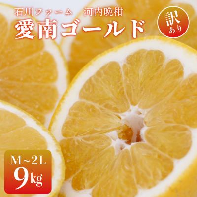 ふるさと納税 愛南町 訳あり 愛南ゴールド(河内晩柑) 9kg サイズ(〜2) 石川ファーム