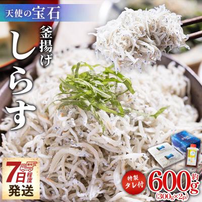 ふるさと納税 香南市 小分けしらす干し 小分け釜揚げしらす 計600g 300g×2パック 特製タレ付き fa-0003