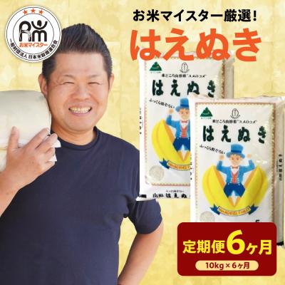 ふるさと納税 米沢市 【先行予約】6ヶ月定期便 令和8年産 はえぬき 10kg × 6回 計60kg | 