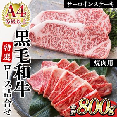ふるさと納税 いちき串木野市 鹿児島県産 黒毛和牛 サーロイン ステーキ 200g×2枚 特選ロース 400g A-4等級以上