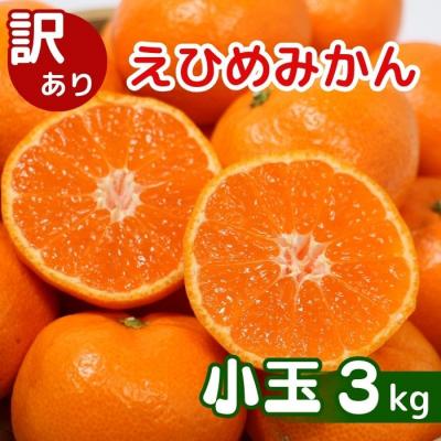 ふるさと納税 愛南町 [先行予約]訳あり 愛媛みかん 小玉 3kg 発送時期 2026年11月以降 清家ばんかんビレッジ