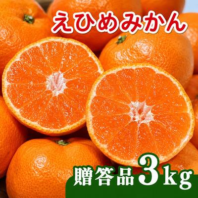 ふるさと納税 愛南町 [先行予約]贈答用 愛媛みかん 3kg 発送時期 2026年11月以降 清家ばんかんビレッジ
