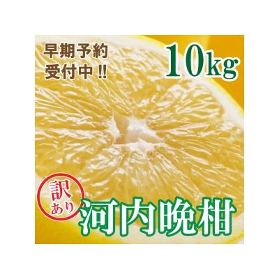 ふるさと納税 愛南町 [先行予約 26年6月ごろ発送開始]訳あり 河内晩柑 ばんかん 約 10kg 不揃い マルエム直販