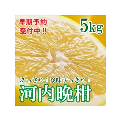ふるさと納税 愛南町 [先行予約 26年6月ごろ発送開始]河内晩柑 ばんかん 約 5kg 家庭 マルエム直販 愛南町