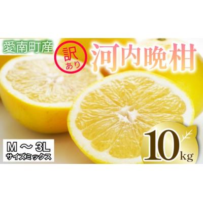 ふるさと納税 愛南町 訳あり 河内晩柑 10kg サイズミックス 家庭用 清家ばんかんビレッジ