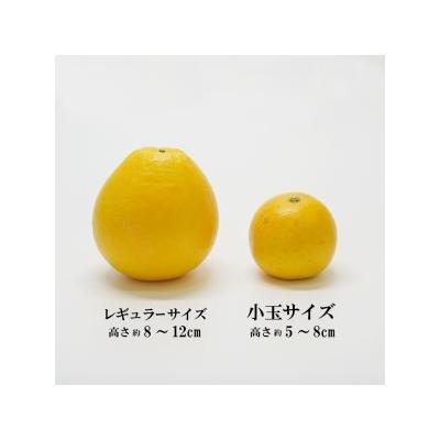 ふるさと納税 愛南町 [訳あり] 小玉 美生柑 数量限定 約7kg 河内晩柑 愛南町 フルーツアイランド・マルエム直販