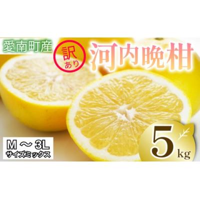 ふるさと納税 愛南町 訳あり 河内晩柑 5kg お試し 家庭用 樹齢 20年 清家 古木 愛南町