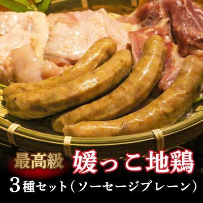 ふるさと納税 愛南町 数量限定 最高級ブランド地鶏 媛っこ地鶏 セット3種 ローカルスタンダード