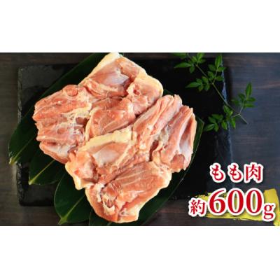 ふるさと納税 愛南町 地鶏 愛媛 媛っこ地鶏 もも むね ささみセット 約1.7kg 鶏肉 鳥肉 肉 チキン むね肉 もも
