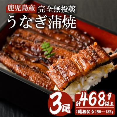 ふるさと納税 曽於市 鹿児島産うなぎ蒲焼(無頭)156〜185g×3尾(たれ+山椒付)