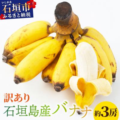 ふるさと納税 石垣市 <訳あり> 大満足!石垣島産バナナ3房 <2026年6〜10月発送> KP-022