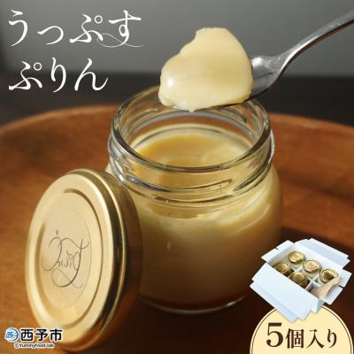 ふるさと納税 西予市 <うっぷすぷりん 5個入り>『1か月以内に順次出荷予定』愛媛 おやつ スイーツ