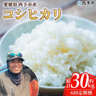 ふるさと納税 西予市 [先行予約]新米<令和8年産 愛媛県西予市産 コシヒカリ 5kg > 通常 6回 定期便 もとき農園