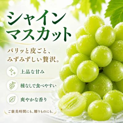 ふるさと納税 伊那市 信州伊那産 大粒ぶどうのシャインマスカット 1房 約700g