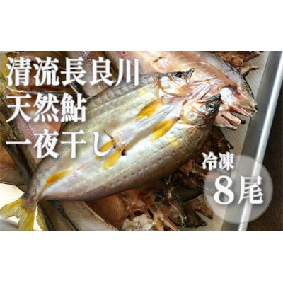 ふるさと納税 各務原市 [皇室献上御料場近郊]川漁師の天然鮎一夜干し[72]
