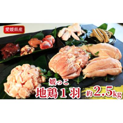 ふるさと納税 愛南町 地鶏 愛媛 媛っこ地鶏 1羽セット 約2.5kg 鶏肉 鳥肉 ローカルスタンダード