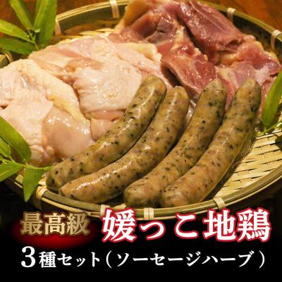ふるさと納税 愛南町 数量限定 最高級 ブランド 地鶏 媛っこ地鶏 セット3種 ソーセージローカルスタンダード