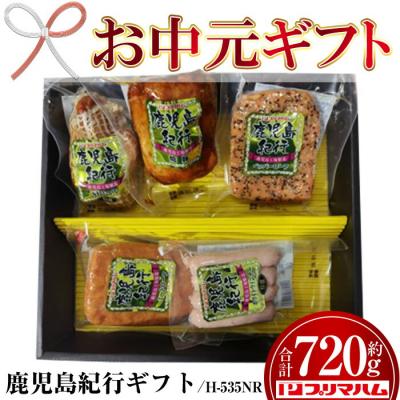 ふるさと納税 いちき串木野市 [お中元]鹿児島紀行ギフト H-535NR 肩ロース・焼豚等 5種 詰合せ セット