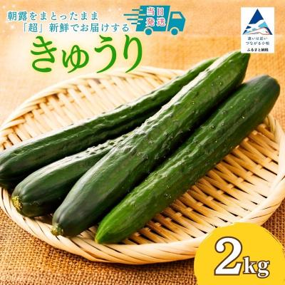 ふるさと納税 小松市 [先行予約] きゅうり 2kg (20本以上) きゅうり 野菜