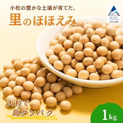 ふるさと納税 小松市 大豆 1kg 豆 イソフラボン おやつ おつまみ 味噌作り
