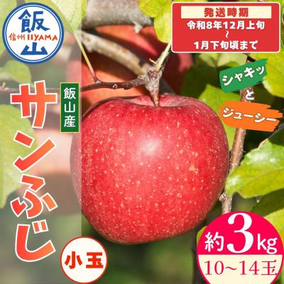 ふるさと納税 飯山市 [先行予約〓2026年12月上旬より順次発送]サンふじ 小玉[約3kg(10〜14玉)]