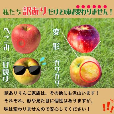 ふるさと納税 飯山市 [先行予約〓2026年12月中旬より順次発送]訳あり サンふじ[約3kg(6〜14玉)]