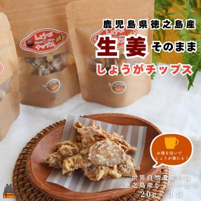 ふるさと納税 徳之島町 徳之島産生姜そのまま しょうがチップス(20g×3袋)