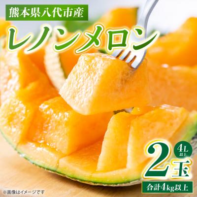 ふるさと納税 八代市 レノンメロン 2玉 4L以上(合計4kg以上)メロン 果物_248-6626-A