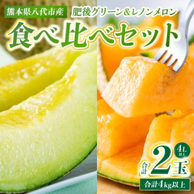 ふるさと納税 八代市 肥後グリーン&amp;レノンメロン食べ比べセット 合計2玉 4L以上 メロン 果物_248-6627-A