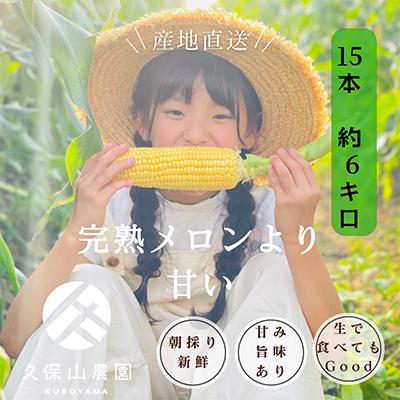 ふるさと納税 筑前町 [完熟メロンのように甘い]朝採り!スイートコーン 約6kg[贈答用にもオススメ]