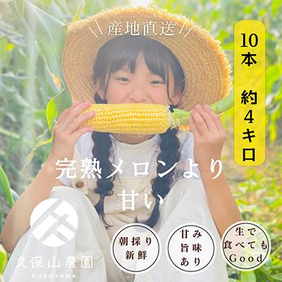 ふるさと納税 筑前町 [完熟メロンのように甘い]朝採り!スイートコーン 約4kg[贈答用にもオススメ]