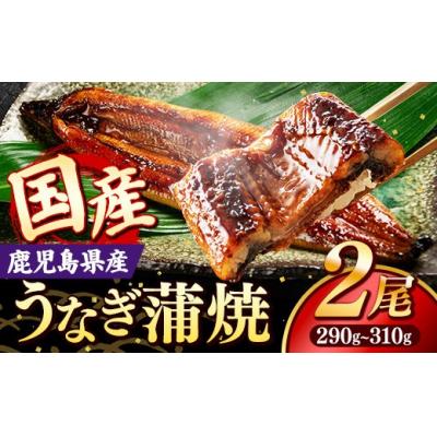 ふるさと納税 筑前町 国産 うなぎの蒲焼き(鹿児島県産) 2尾 (290〜310g)