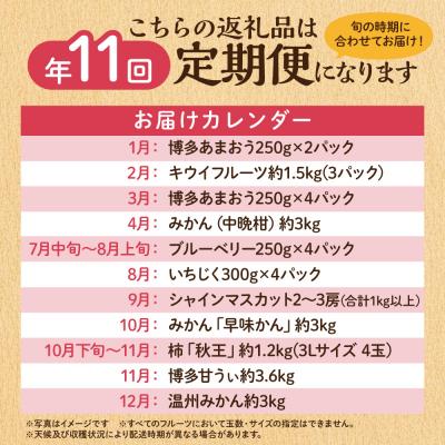 ふるさと納税 宗像市 【定期便/年11回】JAむなかた厳選!旬のフルーツ定期便【JAほたるの里】_HB0171_1