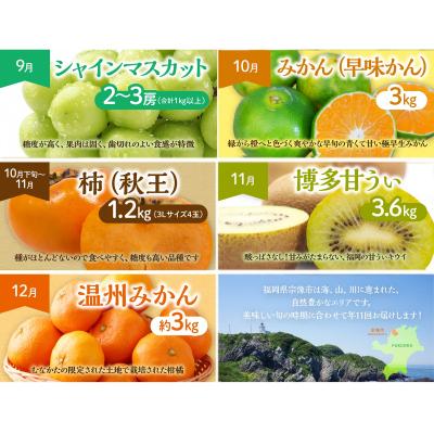 ふるさと納税 宗像市 【定期便/年11回】JAむなかた厳選!旬のフルーツ定期便【JAほたるの里】_HB0171_3