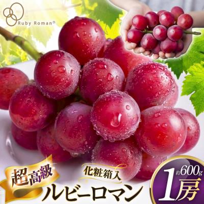 ふるさと納税 宝達志水町 [期間限定発送] 超高級 ぶどう ルビーロマン 1房 約600g 化粧箱入 