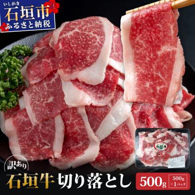 ふるさと納税 石垣市 訳あり 石垣牛切り落とし 500g (500g×1パック) KP-030