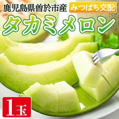 ふるさと納税 曽於市 タカミメロン(1個入・1.6kg〜)