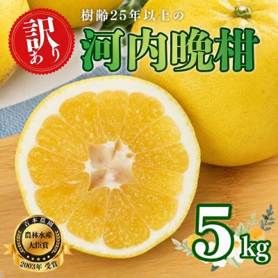 ふるさと納税 愛南町 [訳あり] 河内晩柑(愛南ゴールド) 5kg 吉本農園 みかん 愛媛県 愛南町